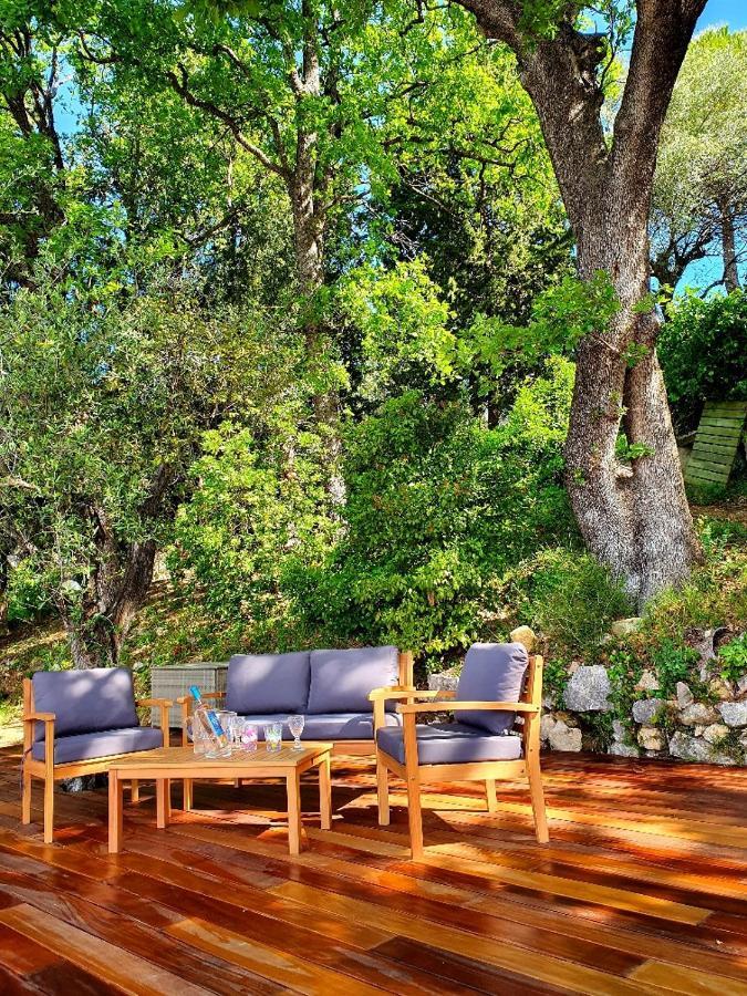 Apartment Picasso In Large Park With Heated Pool Chateauneuf-Grasse Exterior photo